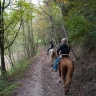Passeggiata a Cavallo nel Parco dello Stirone