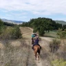 Passeggiata a Cavallo nel Parco dello Stirone con Aperitivo