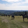 Passeggiata a Cavallo nel Parco dello Stirone con Aperitivo