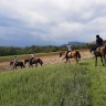 Passeggiata a Cavallo nel Parco dello Stirone con Aperitivo
