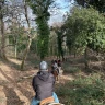 Passeggiata a Cavallo nel Parco di Veio e Valle del Sorbo