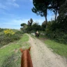 Passeggiata a Cavallo nel Parco di Veio e Valle del Sorbo