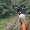 Passeggiata a Cavallo nel Parco di Veio e Valle del Sorbo