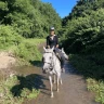 Passeggiata a Cavallo nel Parco di Veio e Valle del Sorbo