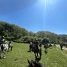 Passeggiata a Cavallo nel Parco di Veio e Valle del Sorbo