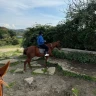 Passeggiata a Cavallo nel Parco di Veio e Valle del Sorbo