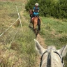 Passeggiata a Cavallo nel Parco di Veio e Valle del Sorbo