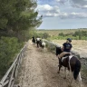 Passeggiata a Cavallo nel Parco Nazionale dell'Alta Murgia