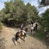 Passeggiata a Cavallo nel Parco Nazionale dell'Alta Murgia