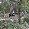 Passeggiata a Cavallo nel Parco Nazionale dell'Alta Murgia