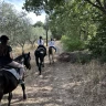 Passeggiata a Cavallo nel Parco Nazionale dell'Alta Murgia
