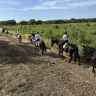 Passeggiata a Cavallo nel Parco Nazionale dell'Alta Murgia
