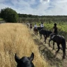 Passeggiata a Cavallo nel Parco Nazionale dell'Alta Murgia