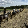 Passeggiata a Cavallo nel Parco Nazionale dell'Alta Murgia