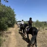 Passeggiata a Cavallo nel Parco Nazionale dell'Alta Murgia
