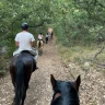 Passeggiata a Cavallo nel Parco Nazionale dell'Alta Murgia