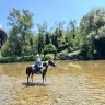 Passeggiata a Cavallo nell'Appennino Bolognese