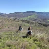 Passeggiata a Cavallo nell'Appennino Bolognese