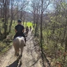 Passeggiata a Cavallo nell'Appennino Bolognese