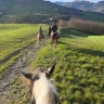 Passeggiata a Cavallo nell'Appennino Bolognese