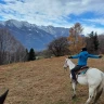 Passeggiata a Cavallo tra le colline moreniche nel Canavese