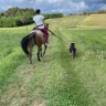 Passeggiata a Cavallo tra le colline moreniche nel Canavese