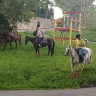 Passeggiata a Cavallo tra le colline moreniche nel Canavese