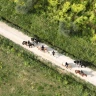 Passeggiata a Cavallo vicino Livorno