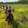 Passeggiata a Cavallo vicino Livorno