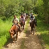Passeggiata a Cavallo vicino Livorno