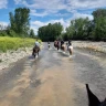 Passeggiata a Cavallo vicino Livorno