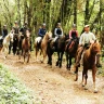 Passeggiata a Cavallo vicino Livorno