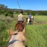 Passeggiata a Cavallo vicino Livorno