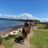 Passeggiata a Cavallo vicino Livorno