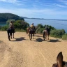 Passeggiata a Cavallo vicino Livorno