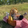 Picnic di Coppia in Vigna a San Gimignano