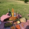 Picnic di Coppia in Vigna a San Gimignano