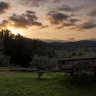 Picnic in Fattoria vicino Firenze