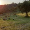 Picnic in Fattoria vicino Firenze