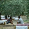 Picnic in Vigna con Musica dal vivo sulla Costa dei Trabocchi