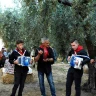 Picnic in Vigna con Musica dal vivo sulla Costa dei Trabocchi