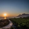 Picnic in Vigna sull'Isola di Lipari