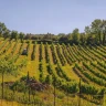 Soggiorno di Coppia con Picnic in Vigna a San Gimignano