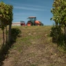 Soggiorno di Coppia tra gusto e relax nella Tuscia Viterbese