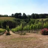 Soggiorno di Coppia tra gusto e relax nella Tuscia Viterbese