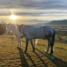 StarsBox Experience in Valle Maira in provincia di Cuneo