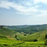 Tour del Nebbiolo in Vespa con Degustazione in Cantina