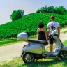 Tour delle Langhe in Vespa con Picnic in Vigna