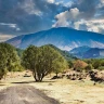 Tour dell’Etna con Pranzo in un Ristorante vista Mare