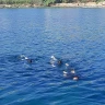 Tour in Barca a Vela con Scuba Diving a Siracusa